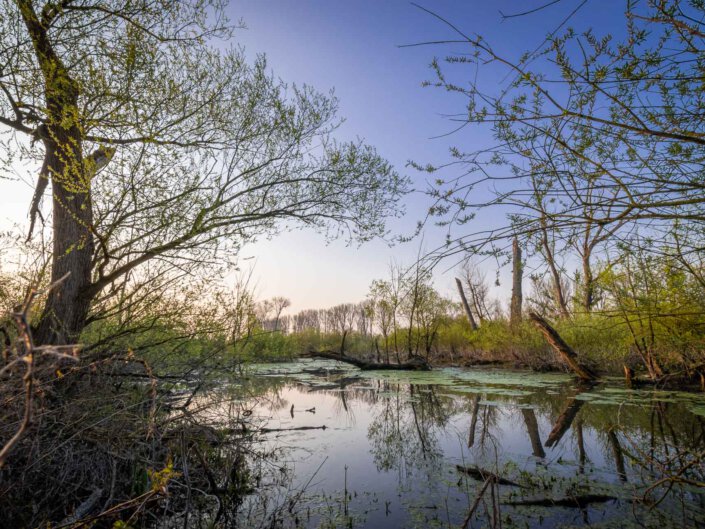 Urdenbach Fotoworkshop Teiche