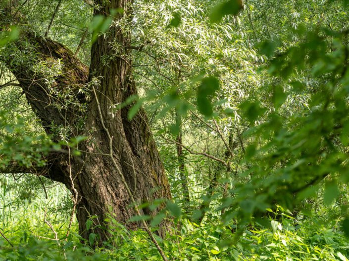 Urdenbach Fotoworkshop
