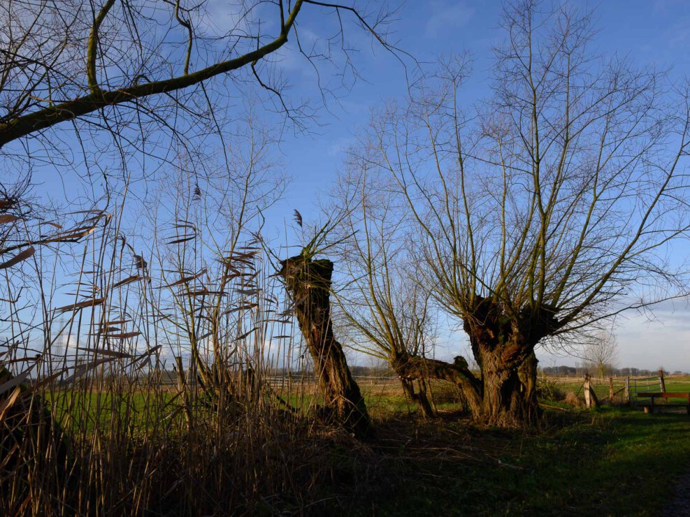 Urdenbach Fotoworkshop