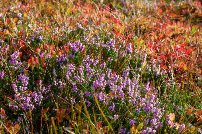 Fotoworkshop, Zillertal, Alpen, Landschaftsfotografie