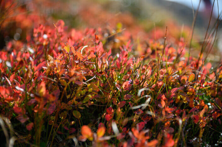 Fotoworkshop, Zillertal, Alpen, Landschaftsfotografie