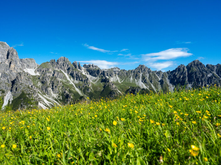 Foto-Workshop Stubai