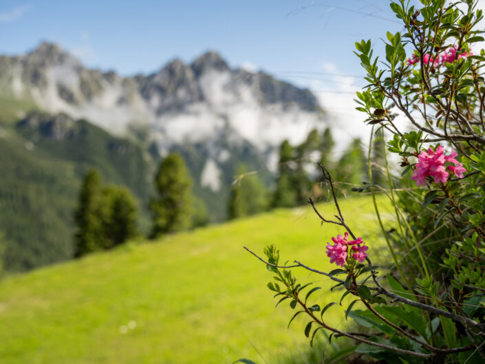 Foto-Workshop Stubai