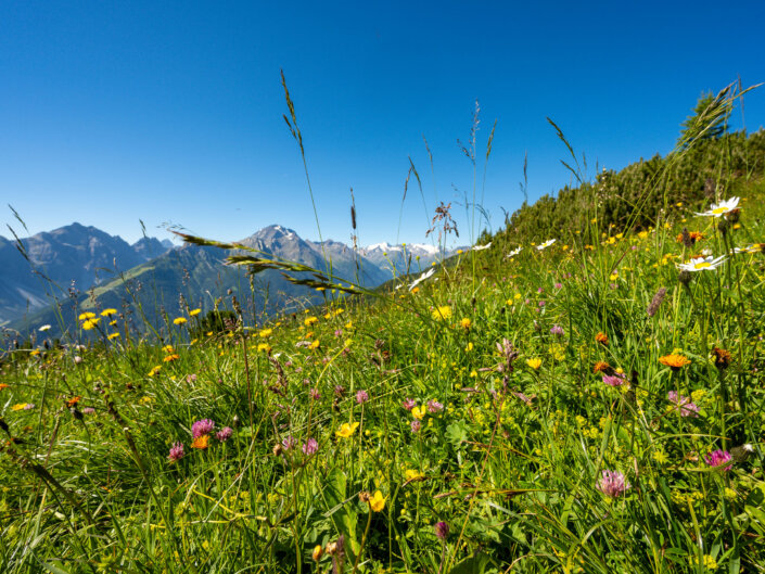 Foto-Workshop Stubai