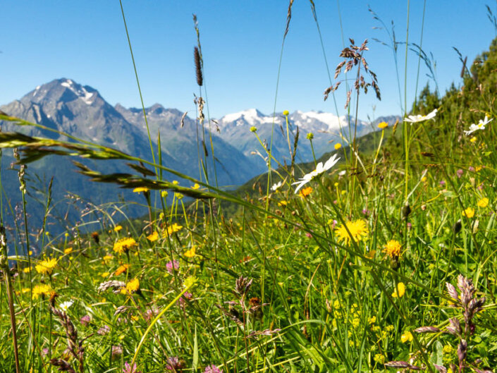 Fotoworkshop Stubai
